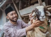 Qurban Checklist: Panduan Memilih Hewan Anti-Gagal Menurut Fiqih