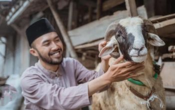 Qurban Checklist: Panduan Memilih Hewan Anti-Gagal Menurut Fiqih