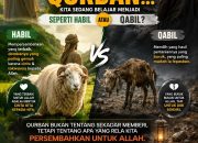 Avoid the Scams: Tips Memilih Lembaga Kurban Terpercaya dan Amanah