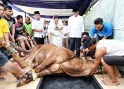 Ethical Slaughtering: Seni Menghargai Nyawa di Ujung Pisau