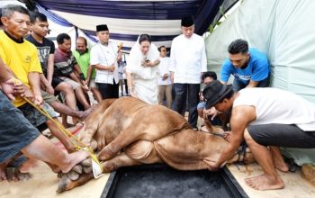 Ethical Slaughtering: Seni Menghargai Nyawa di Ujung Pisau