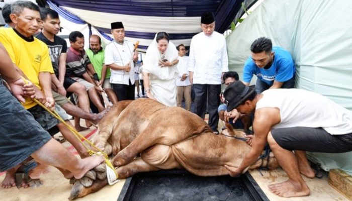 Ethical Slaughtering: Seni Menghargai Nyawa di Ujung Pisau