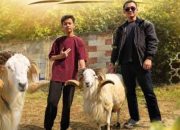 The Unseen Reward: Menelusuri Jejak Kebaikan di Setiap Helai Bulu Hewan Kurban