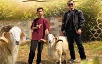 Qurban Hacks: Cara Cerdas Jadi Mudahhi (Pekurban) Meski Masih Mahasiswa