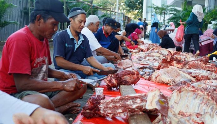 The Real Sacrifice: Mengapa Qurban Itu Bukan Soal Daging, Tapi Soal Ketaatan